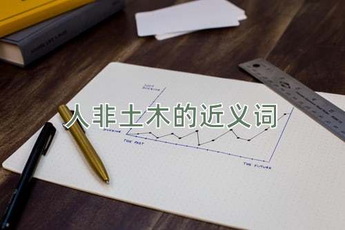 人非土木的近义词
