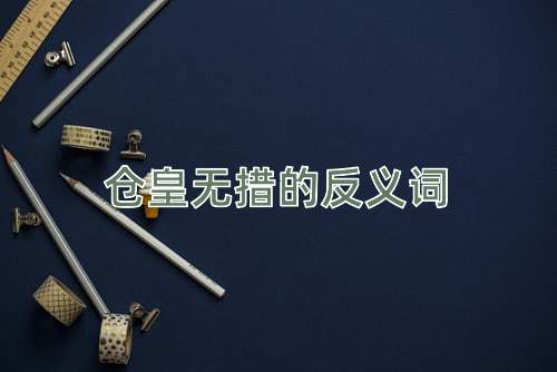 仓皇无措的反义词