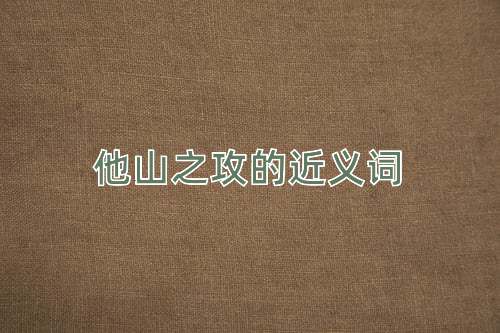 他山之攻的近义词
