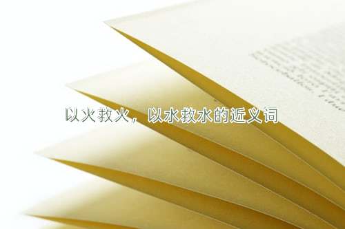 以火救火，以水救水的近义词