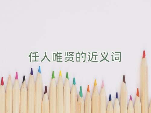 任人唯贤的近义词