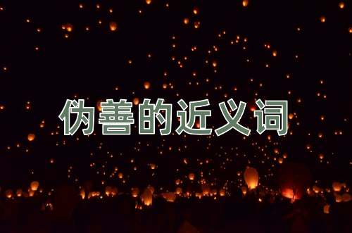伪善的近义词