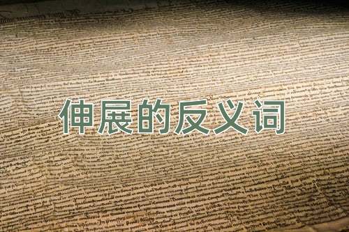 伸展的反义词