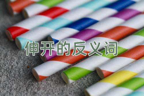 伸开的反义词