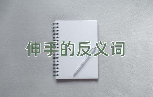 伸手的反义词