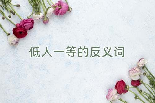 低人一等的反义词