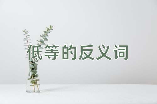 低等的反义词