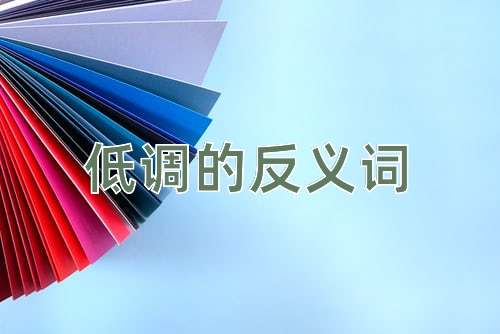 低调的反义词