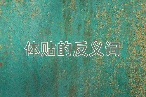 体贴的反义词