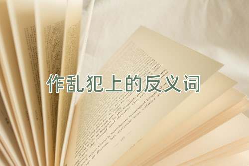 作乱犯上的反义词