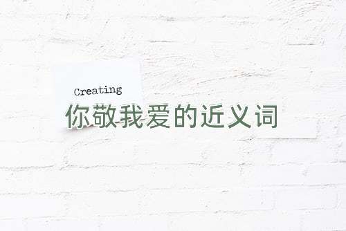 你敬我爱的近义词