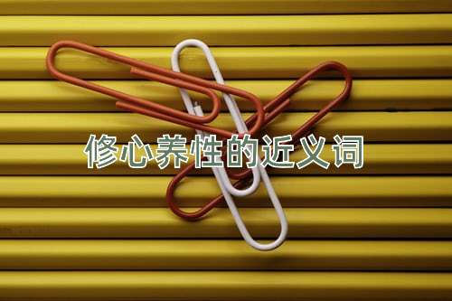 修心养性的近义词