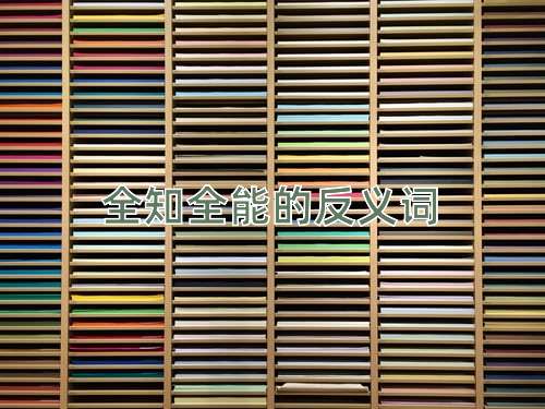 全知全能的反义词