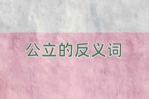 公立的反义词
