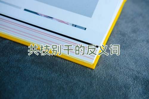 共枝别干的反义词