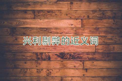 兴利剔弊的近义词