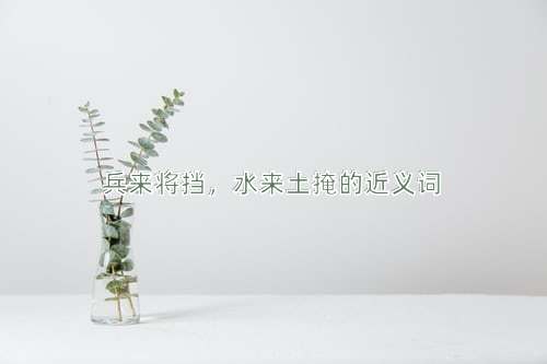 兵来将挡，水来土掩的近义词