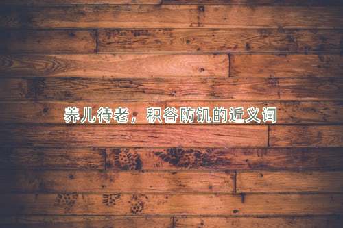 养儿待老，积谷防饥的近义词