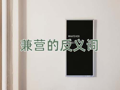 兼营的反义词