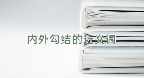 内外勾结的近义词