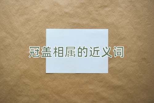 冠盖相属的近义词
