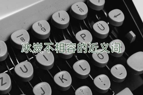 冰炭不相容的近义词