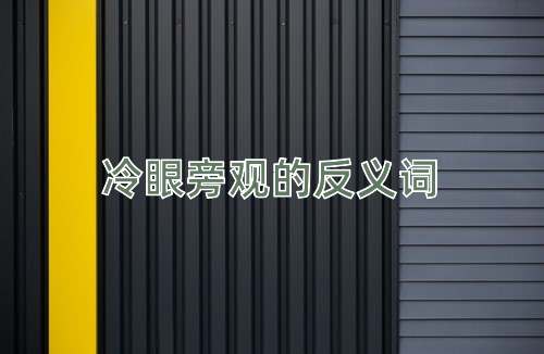 冷眼旁观的反义词