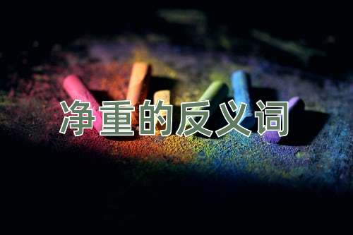 净重的反义词