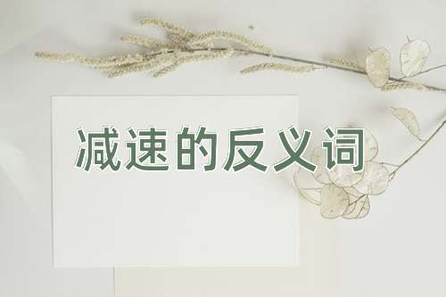 减速的反义词