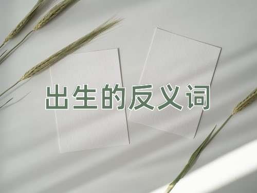 出生的反义词