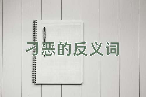 刁恶的反义词