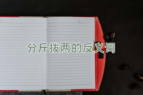 分斤拨两的反义词