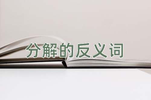 分解的反义词