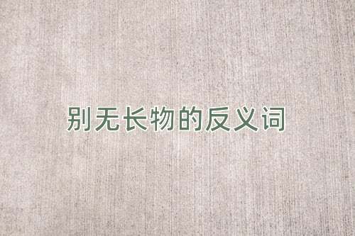 别无长物的反义词