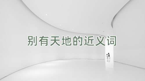 别有天地的近义词