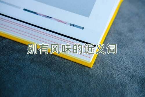 别有风味的近义词