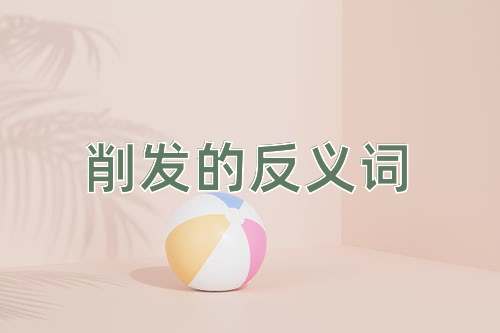 削发的反义词