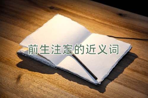 前生注定的近义词