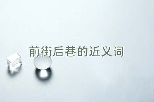 前街后巷的近义词