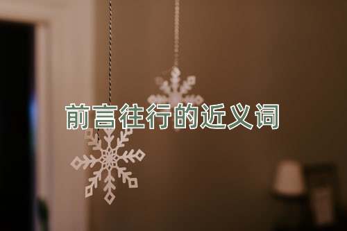 前言往行的近义词