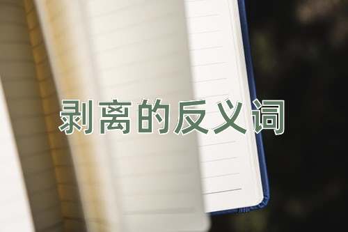 剥离的反义词
