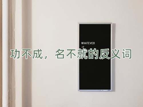 功不成，名不就的反义词