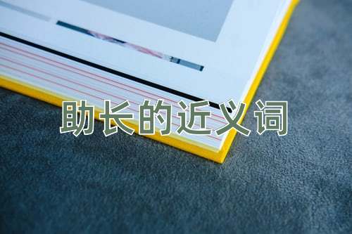 助长的近义词