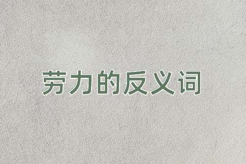 劳力的反义词