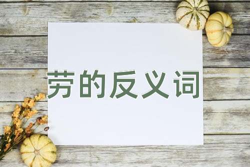 劳的反义词
