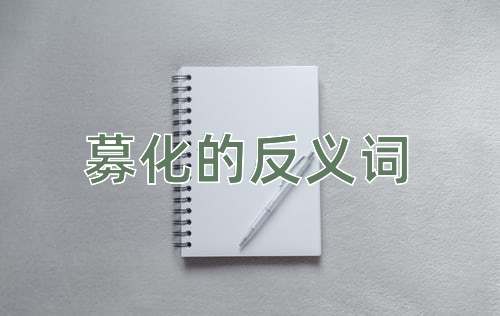 募化的反义词