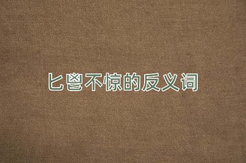 匕鬯不惊的反义词