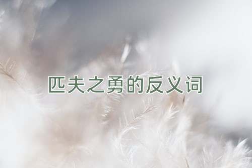 匹夫之勇的反义词