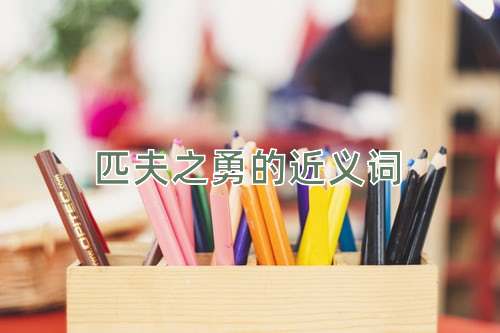 匹夫之勇的近义词