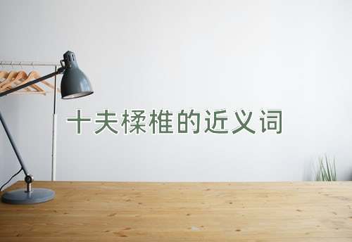 十夫楺椎的近义词